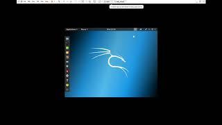 Kali LInux Full Screen in VMware Workstation