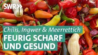 Scharfes Essen - wie wichtig sind Chili und Co.? | Marktcheck SWR