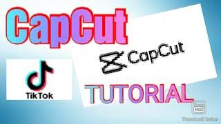 VIAMAKER/CAPCUT TUTORIAL | TIKTOK