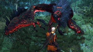 Witcher 3 Wild Hunt - Opinicus Boss Fight