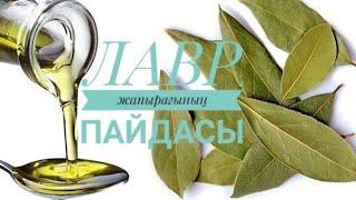 Қарапайым ЛАВР жапырағының пайдасы көп екен. Ұйқыға,шашқа тб