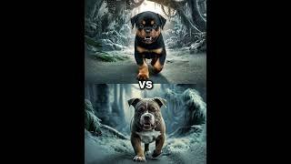 Rottweiler Puppy vs Pitbull puppy ( German Shepherd, Husky, Doberman, labrador retriever, Pointer).