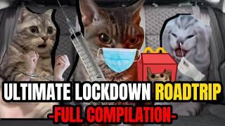 Cat MEMES THE ULTIMATE LOCKDOWN ROADTRIP COMPILATION