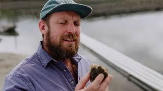 2. Types of Oysters NSW Farmers 1080p