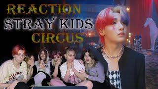 [MV Reaction] Stray Kids 『CIRCUS』 Music Video