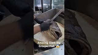 best fish cutting skills how to cut a big giant grouper fish clean#shorts