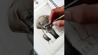 How to draw a cute Puppy #youtubeshorts #art #drawing #