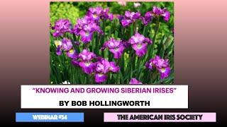 Webinar #34 “Knowing and Growing Siberian Irises” by Bob Hollingworth