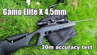 Gamo Elite X 30m Accuracy Test