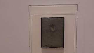 Jasper Johns: Mind/Mirror at THE WHITNEY MUSEUM