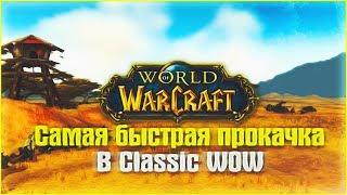 Быстрая прокачка в Classic Wow. Советы для быстрой прокачки персонажа.