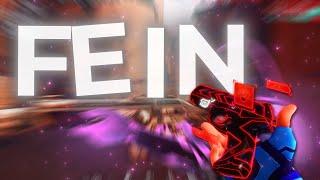 FEIN  (Valorant montage)