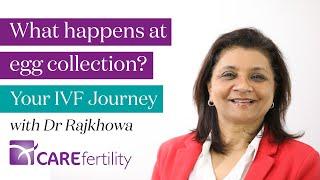 IVF: What happens at egg collection? - Your IVF Journey | CARE Fertility