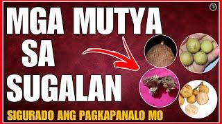 BHES TV; MGA MUTYA SA PARA SA SUGAL NEGOSYO AT PANGKABUHAYAN | MGA URI NG MUTYA SA PILIPINAS