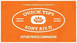 Picture Profile Comparison on the Sony A7SII - Quick Tips By Camera Ambassador