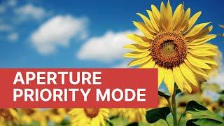 Aperture Mode - Beginner Tutorial