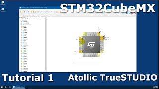 Beginning STM32 ARM Microcontroller Programming - Tutorial 1: GPIO (flashing LED)