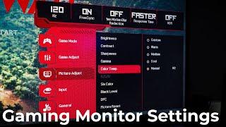 Gaming Monitor Settings