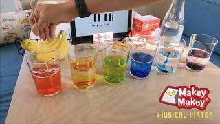 Makey Makey Water Piano