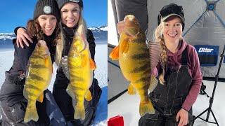 Ice Fishing the Largest Jumbo Perch of Our Lives  |  Cascade Part 2