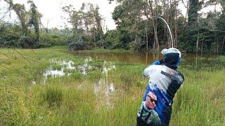 ANJIIIRRR...Ikan gabusnya main kasar pada umpanku || di spot banjir ferisferdian43