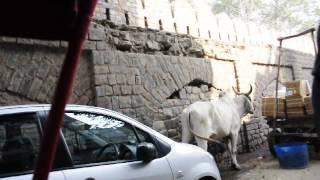 Rickshaw ride in New Delhi