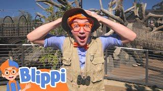 Let's Explore The Zoo!  | Blippi - Learn Colors and Science