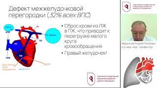 Семиотика врожденных пороков сердца у детей  Аверьянов А П