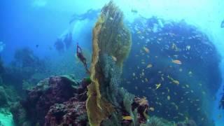 Wicked Diving Liveaboard