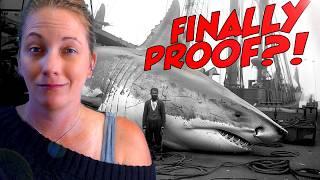 Megalodon Fact VS Fiction: Marine Biologist Reacts to the Evidence