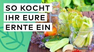 Obst und Gemüse richtig einkochen – So macht ihr eure Ernte fit für den Winter!