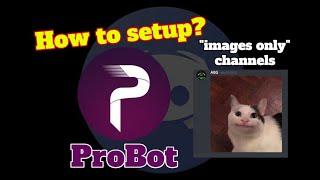 How to setup "images only" channels | ProBot | Discord