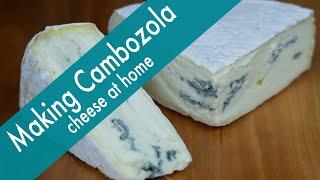 Making Cambozola Cheese at Home -- incredibly delicious!