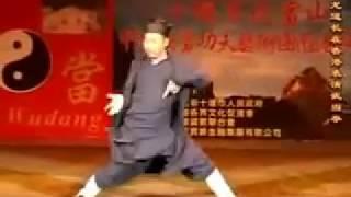 武当拳 Fast Wudang Taiji by Grandmaster Zhong Yun Long of Zhang San Feng Academy