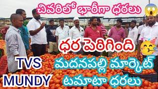 31/12/24 Madanapalle Tomato Market Price Today || Today Tomato Market Rate In Madanapalle #today