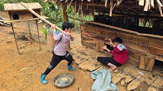 Stranger breaks into house, Highland Boy Khai harvests apples to sell