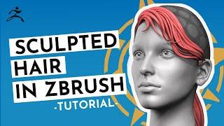 Fast Way to Sculpt Hair in Zbrush - No Plugins, Only Default Brushes