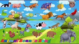 Animal Sounds Song 16th9 | English Nursery Rhyme | Kids Song