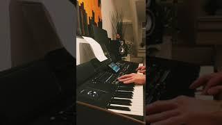 I Promised Myself by Nick Kamen - Keyboard cover on Korg PA5X.