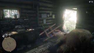 Red Dead Redemption 2 - Pipe Location