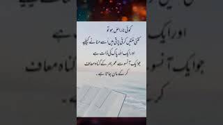 Koi naraz ho to #youtubeshorts #islamiqoutes #islamicquote #deeniqoutes