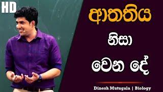 ආතතිය නිසා මිනිස්සුන්ට වෙන දේ | Dinesh Muthugala | #dineshmuthugala #biology