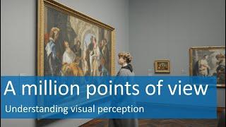 A million points of view – Understanding visual perception