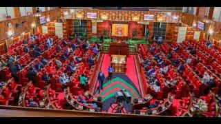 LIVE: Senators debate on state of the nation