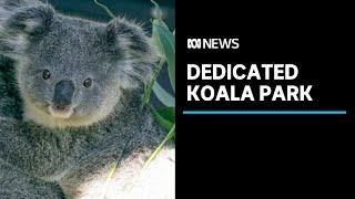 Great Koala National Park would create thousands of jobs, study finds, but at what cost? | ABC News