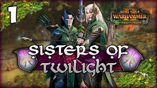 RISE OF THE WITCHWOOD! Total War: Warhammer 2 - Heralds of Ariel - Sisters of Twilight Campaign #1