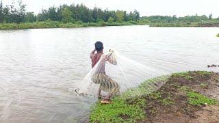 Net Fishing in the Amazing Village Canal Best Fishing Video - Village Fishing - Fish Video