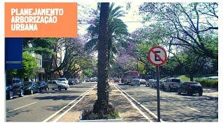 Planejamento Arborização Urbana: princípios de planejamento