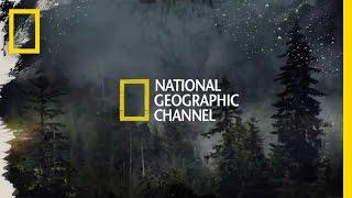 Port Protection | National Geographic