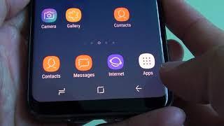 Samsung Galaxy S8: How to Enable / Disable Internet Javascript